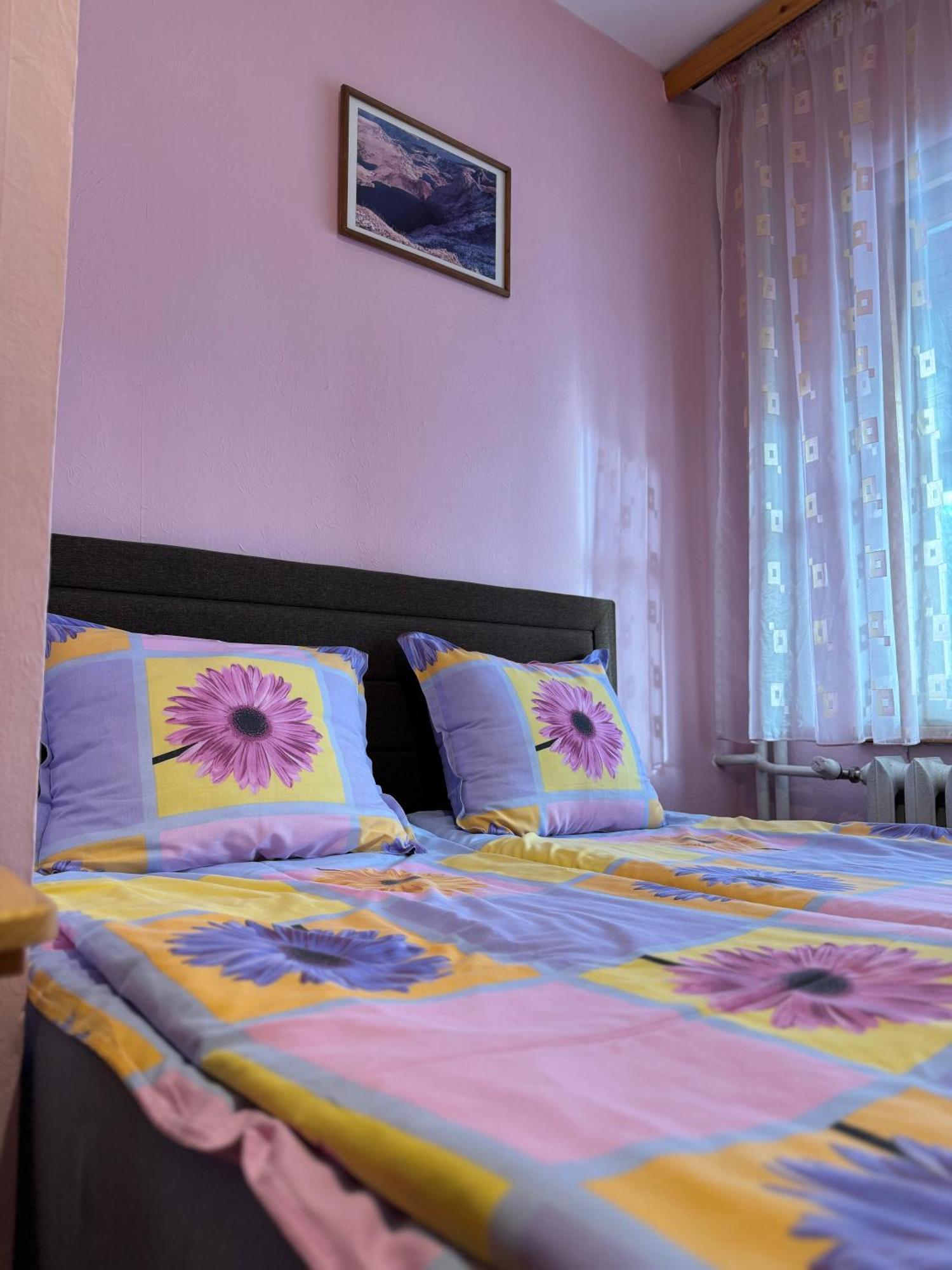 Mama Emiliya Guest House Бели-Искыр Экстерьер фото