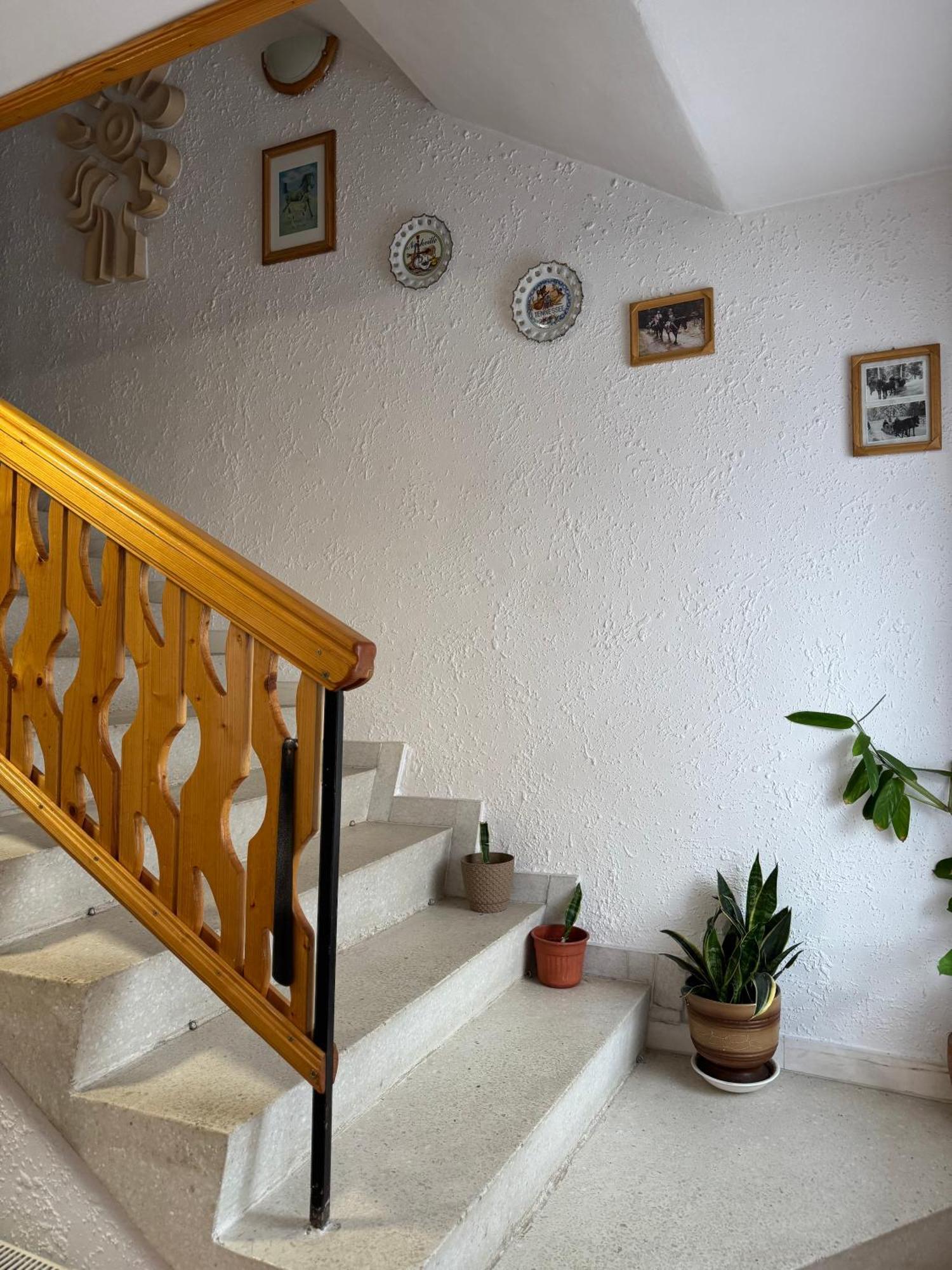Mama Emiliya Guest House Бели-Искыр Экстерьер фото